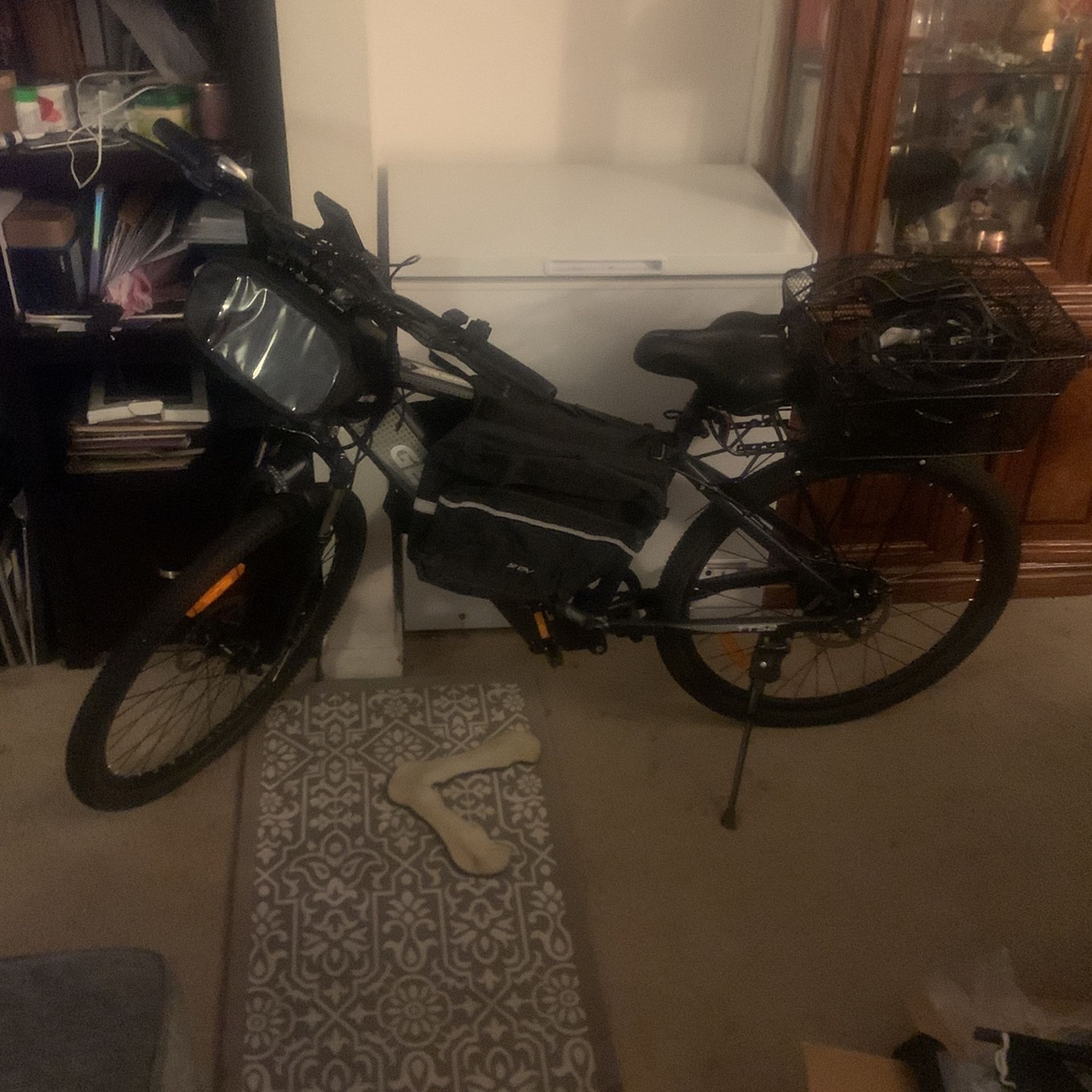 E Bike 350w 