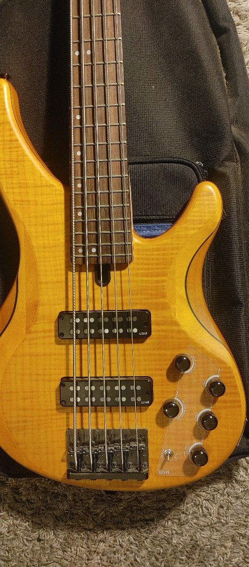 YAMAHA TRBX 5 STRING BASS