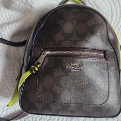 Coach Mini Backpack 