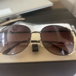 Roca Wear Shades Brown And Gold