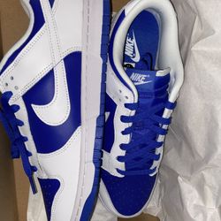 Nike Dunk Low  Sz 11