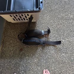 30 lb dive weight belt