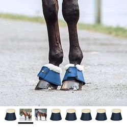 Horse Boots Large