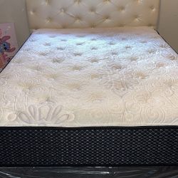 Queen Bed With Mattress Frame And Headboard For Sale 