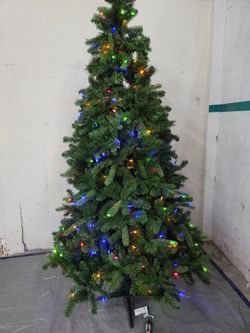 Evergreen classics norwich spruce new arrivals