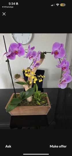 Orchid Ornament 