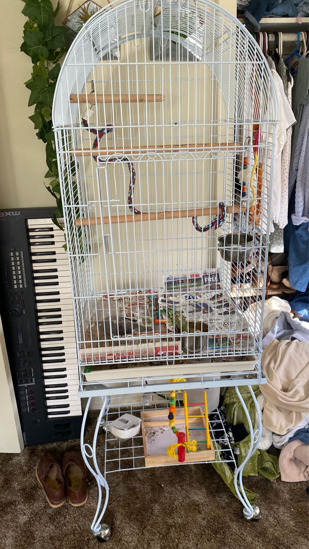 Moving bird cage! (NEW)