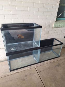 Fish Tanks