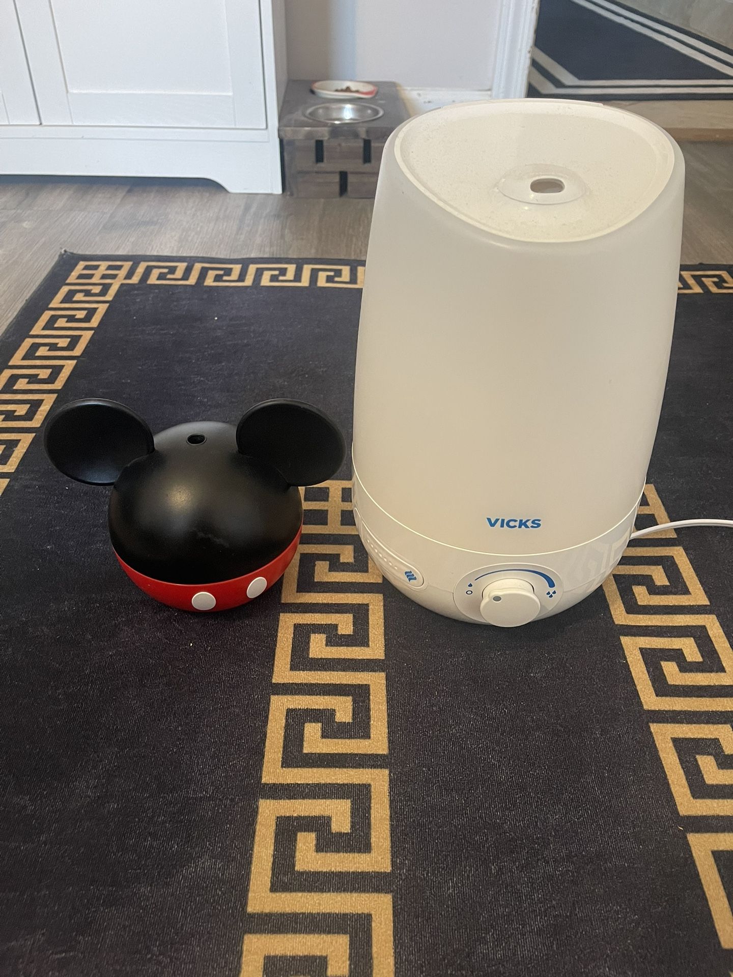 Lot of Vicks Humidifier And Minni Mouse Humidifier with speaker