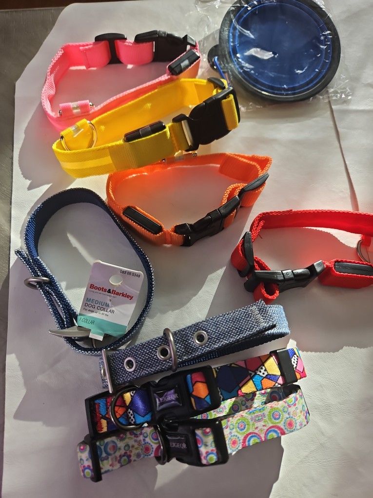 8 Dog Collar (4 With Light)