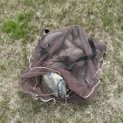 Duck Decoys 