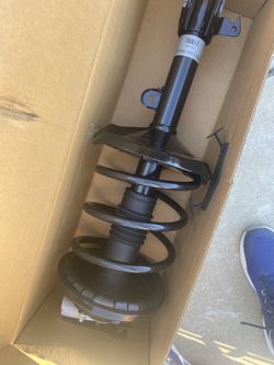 Strut Assembly