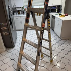 Folding Ladder