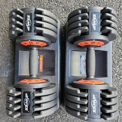 Adjustable Dumbbells 55lbs Each 