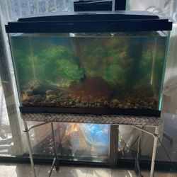 Fish Tank For $45 Includes Delivery 