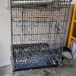 Bird Cage - Large 