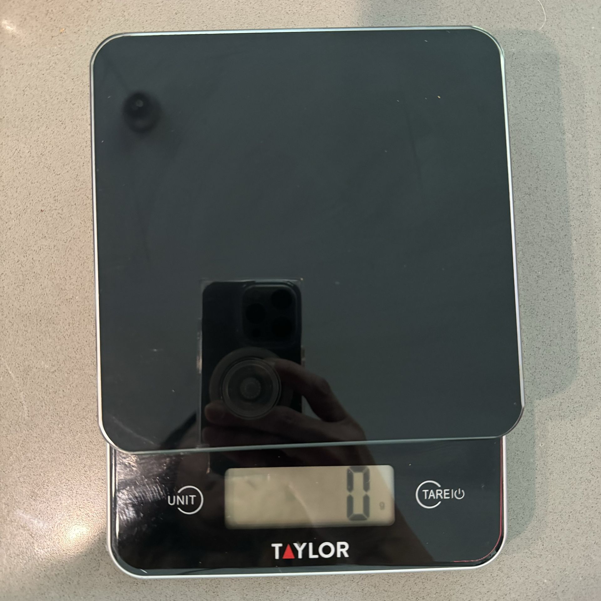 Taylor Food Scale