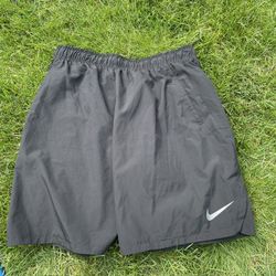 Nike Shorts Size Large - Black 