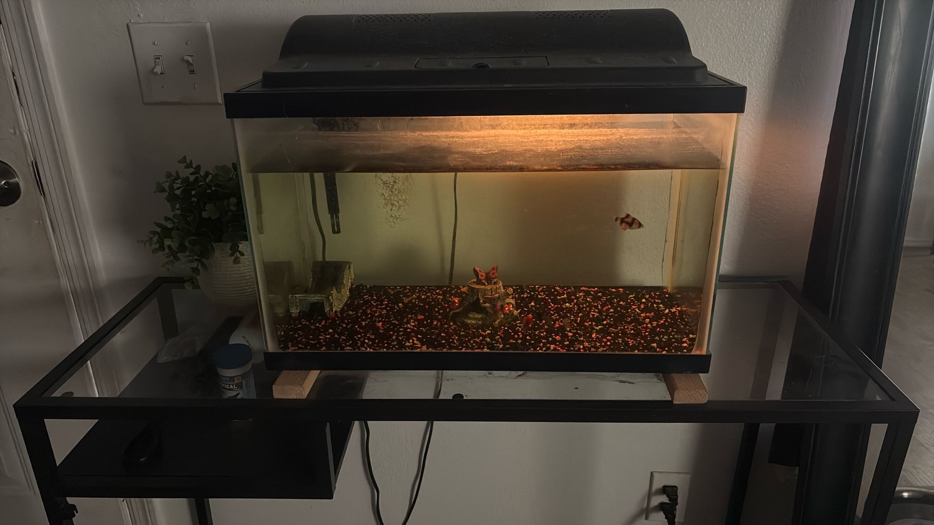 Fish Tank With Stand