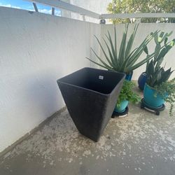 Flower Pot 