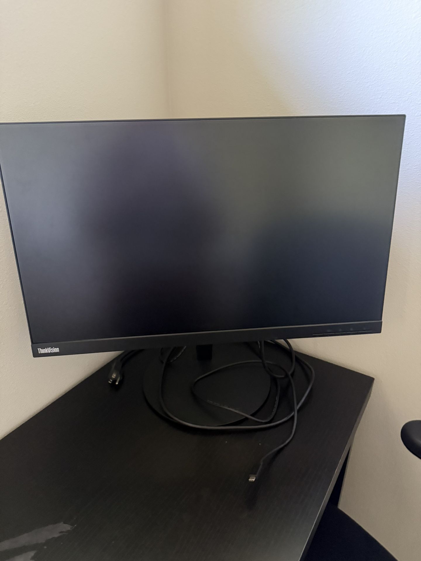 Thinkvision Monitor