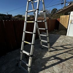 Collapsable Ladder  