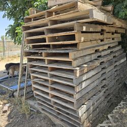 Pallets Wood