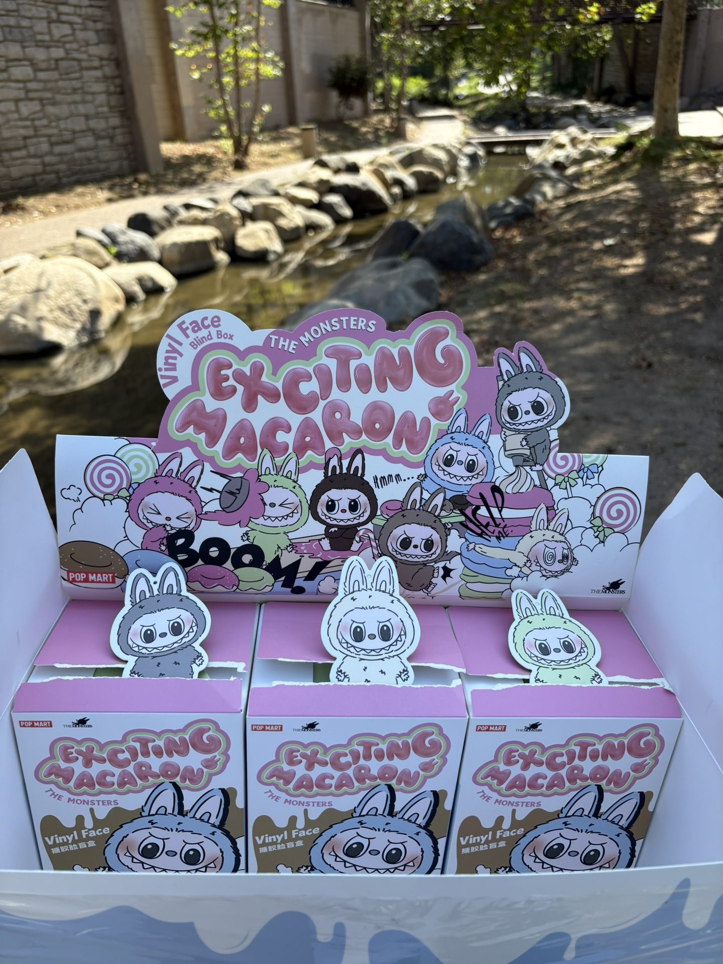 Labubu Exciting Macaroon