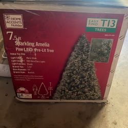 Tree Was Used For Two Years 