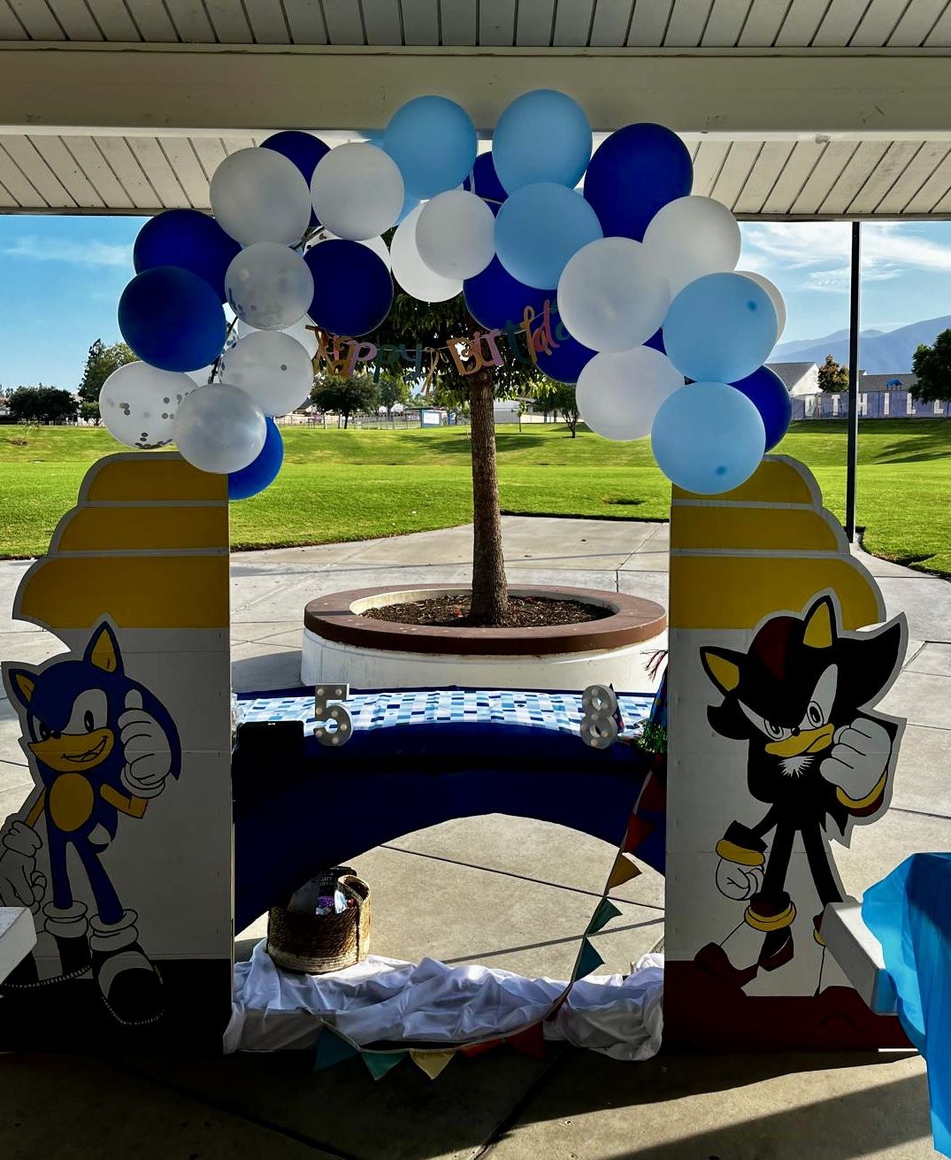 Sonic Theme Birthday Decor – Hand-Painted! 
