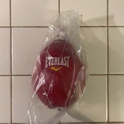 Everlast Speed Bag 