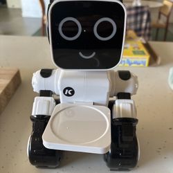NEW! Rechargeable Interactive Robot Toy 