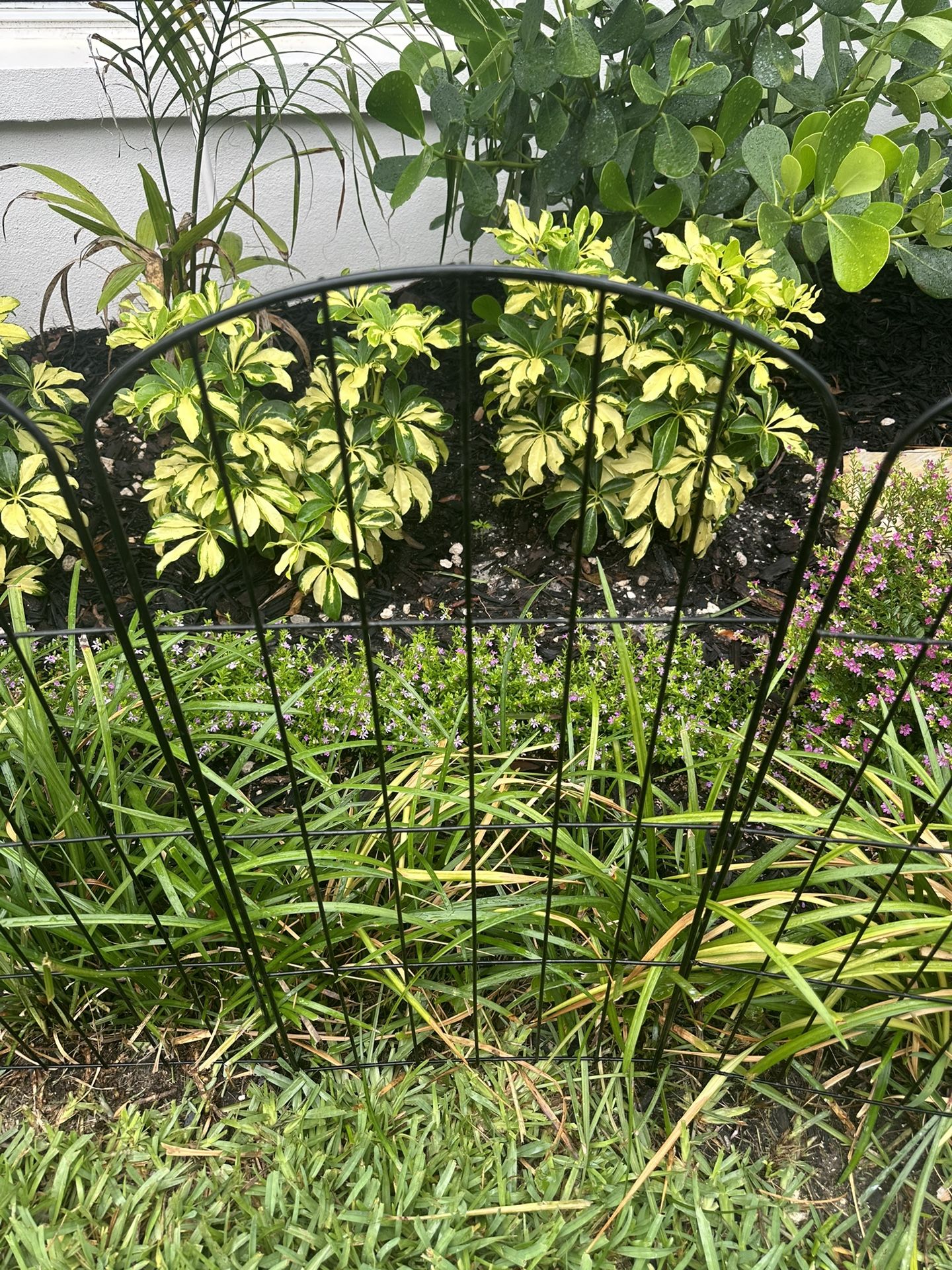Fencing Garden - Pet