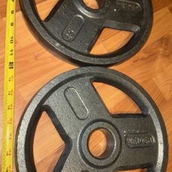 25 lb Pair Olympic Weider Weight Plates 