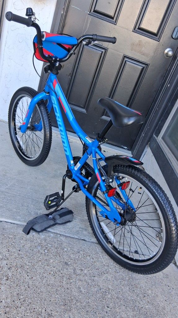 Raleigh Kids Bike ( 20 Inch Wheels)
