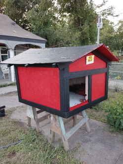 Doghouse