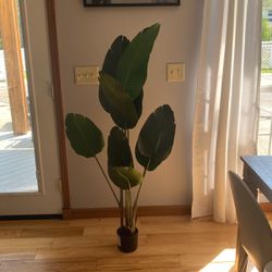 Fake Banana Leaf Plant