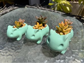 Pokémon planter set
