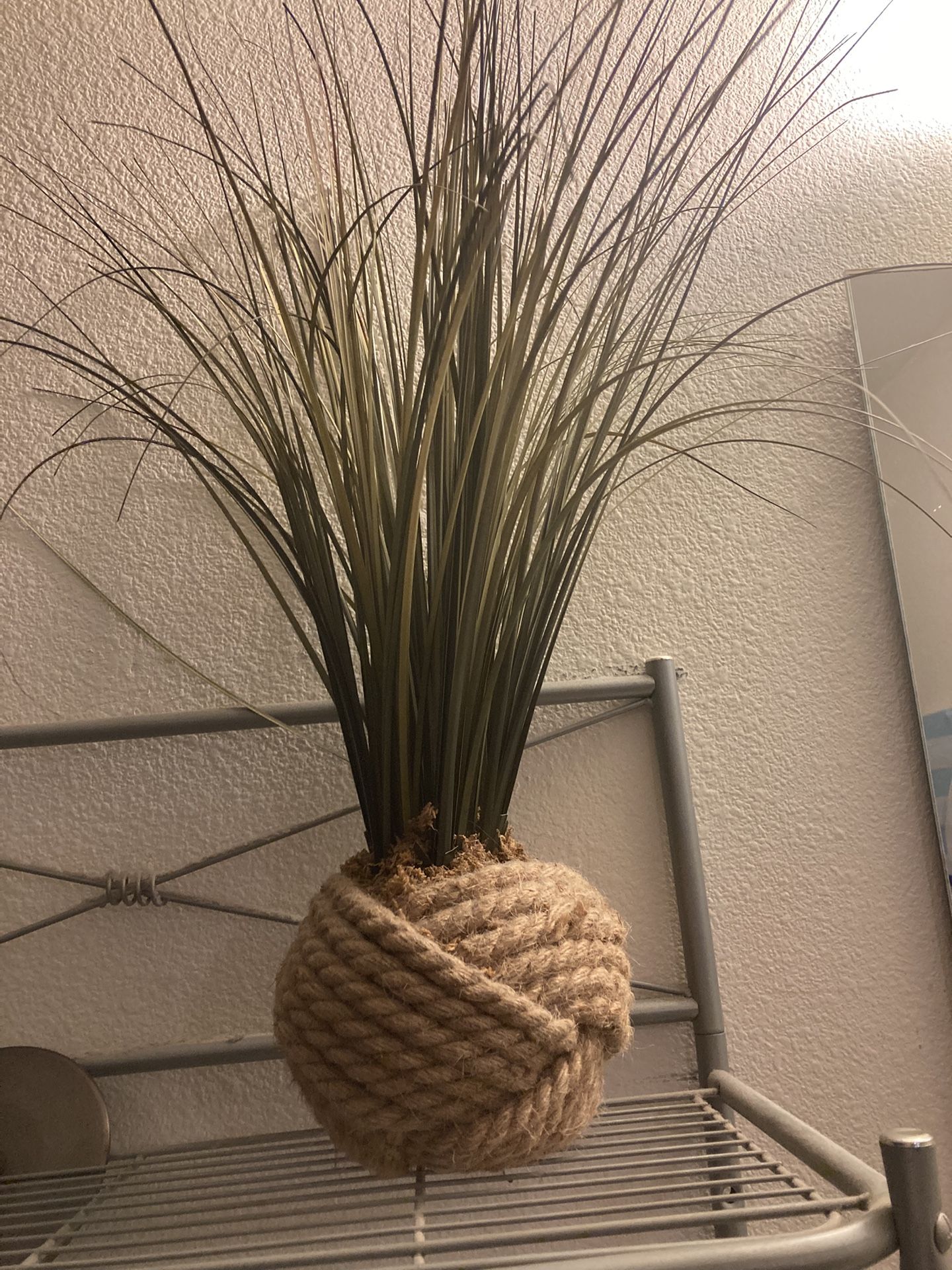 IKEA Potted Plants