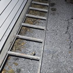 10 Ft Ladder