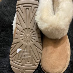 Uggs 