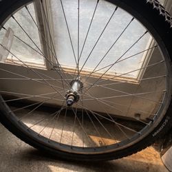 Bike Tire $$$reduced