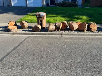 Free fire wood