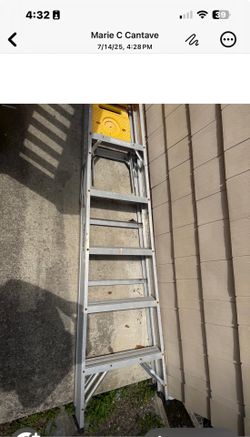 Two Ladder For $250