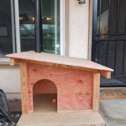 Dog House 