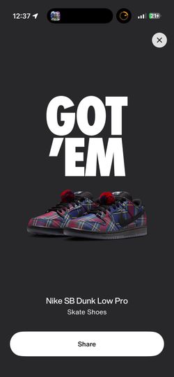 Nardwuar Sb Dunks
