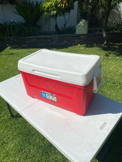 Gd. Cond. Igloo 48 Qrt  Cooler