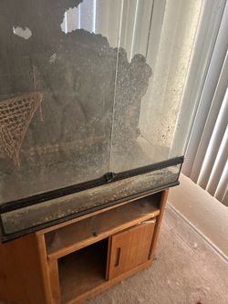 Free lizard cage and stand local pickup
