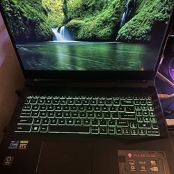 Work/Gaming PC Laptop