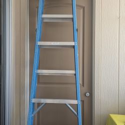 Werner 8 Ft. Ladder